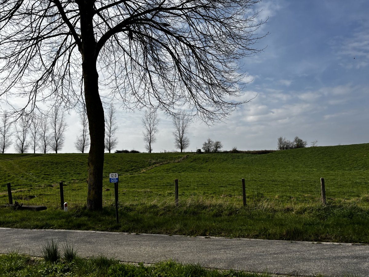 Gart Scheppers 🕊💙🕊️ tweet media