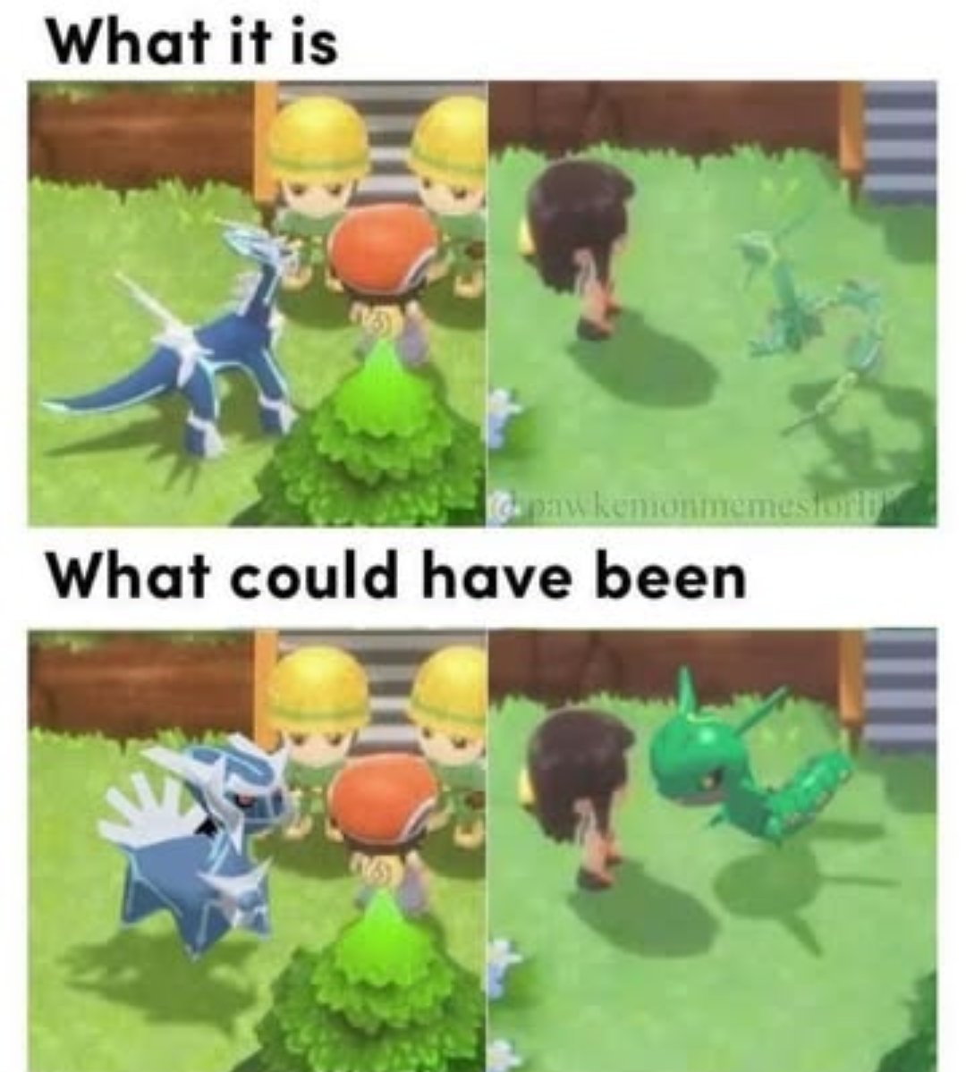 Pokemonshell tweet media