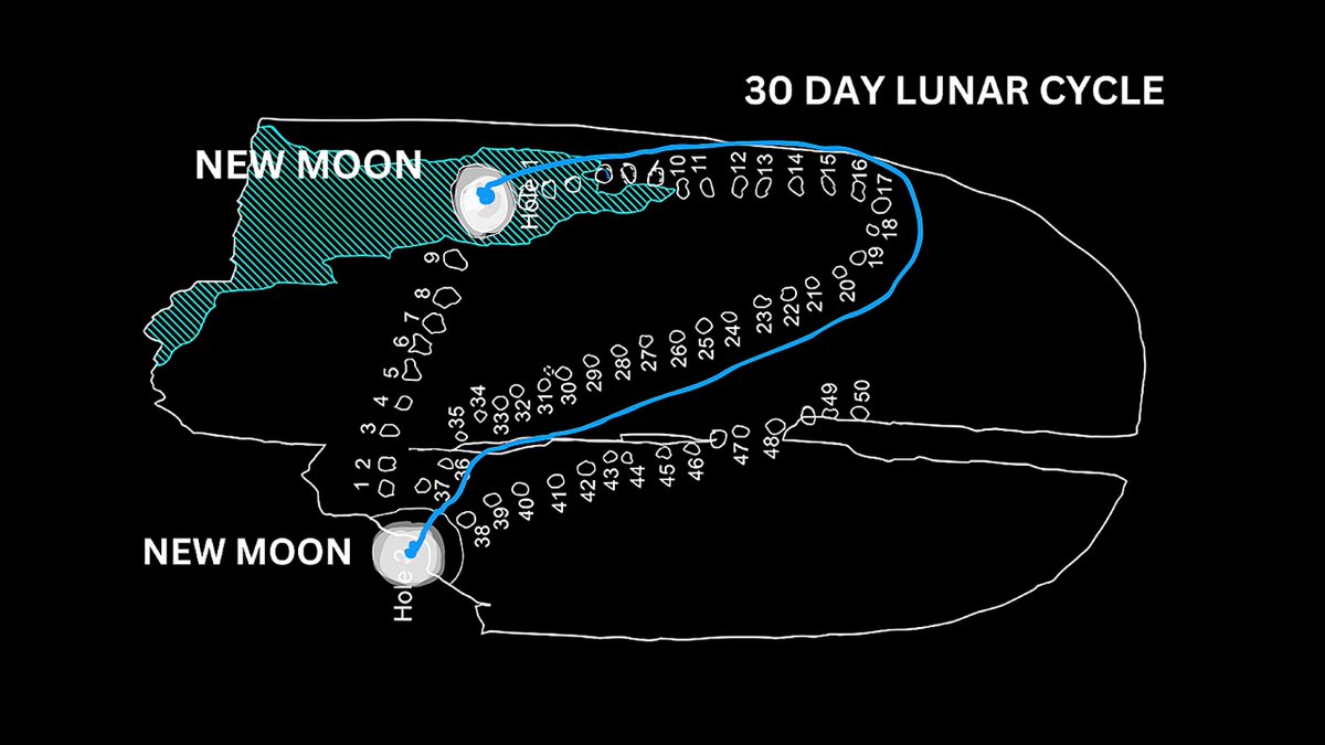 Compelling Archaeology tweet media