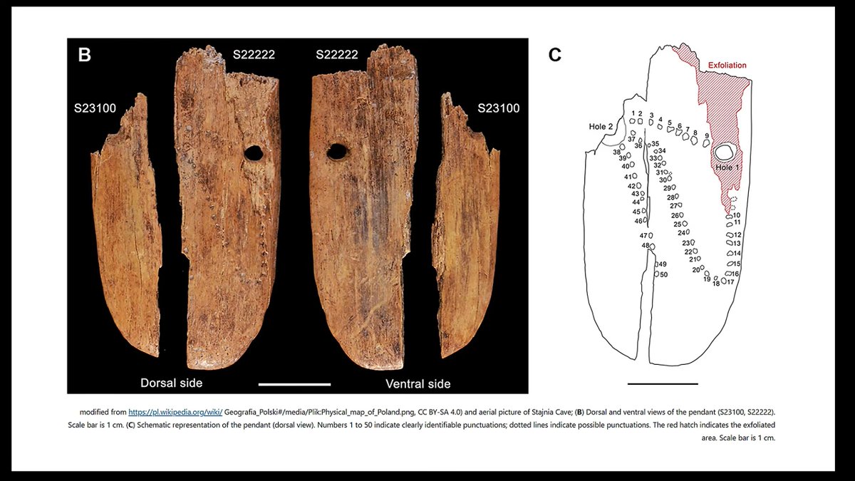 Compelling Archaeology tweet media