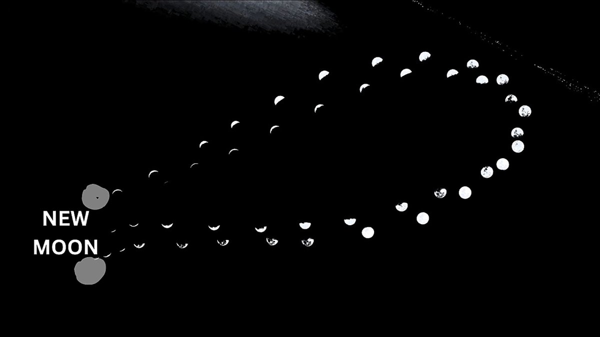 Compelling Archaeology tweet media