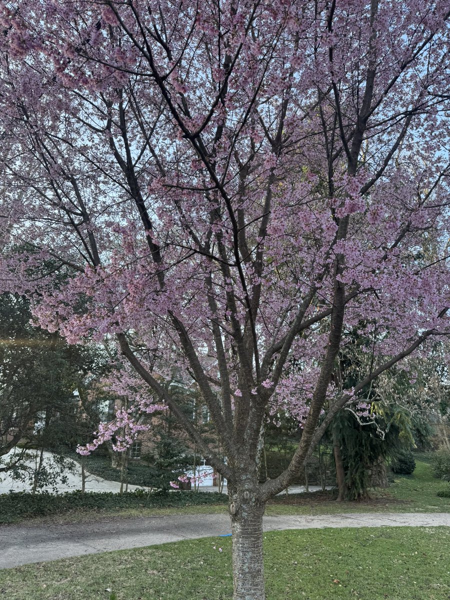 Geoff Tracy 💚🥓 tweet media