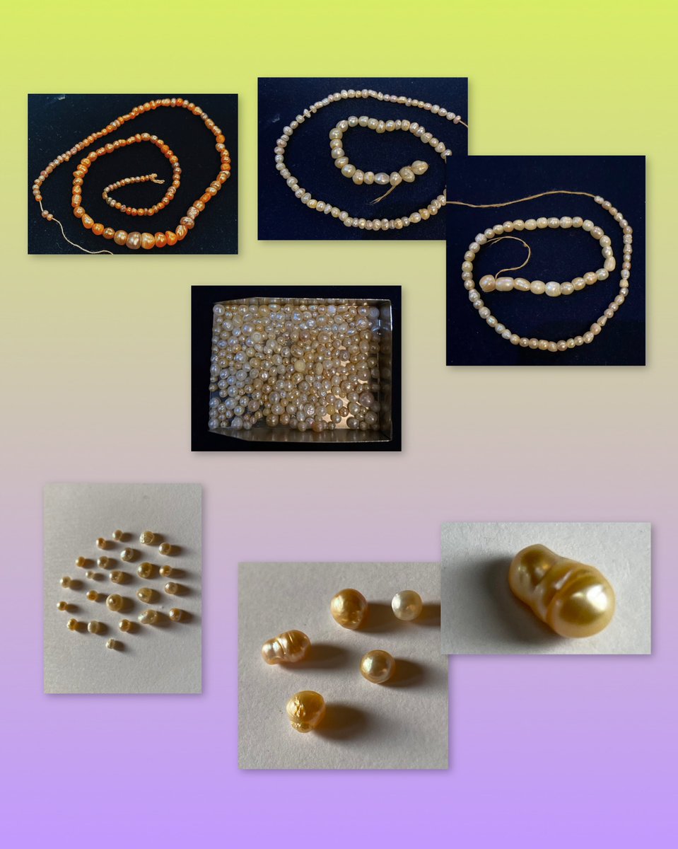 Adi_OFCL's tweet image. Touched the Moon surface in Physical,
These  asset are  a verified digital twin of the data delivered to the Lunar Surface on March 2, 2025, via the Firefly Aerospace Blue Ghost Mission 1 #Crew12

By acquiring this  NFT and Extremely rare Basra pearls , you hold the digital