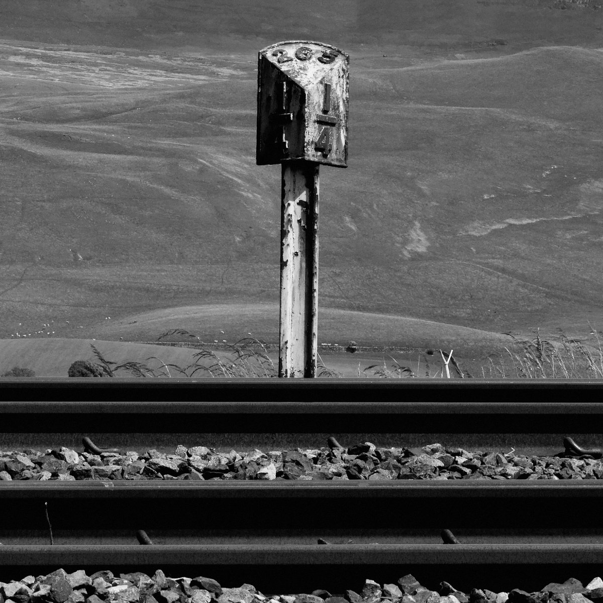 Zeitgeist333 tweet media