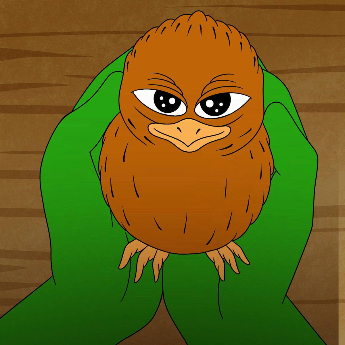 nitefeeder tweet media