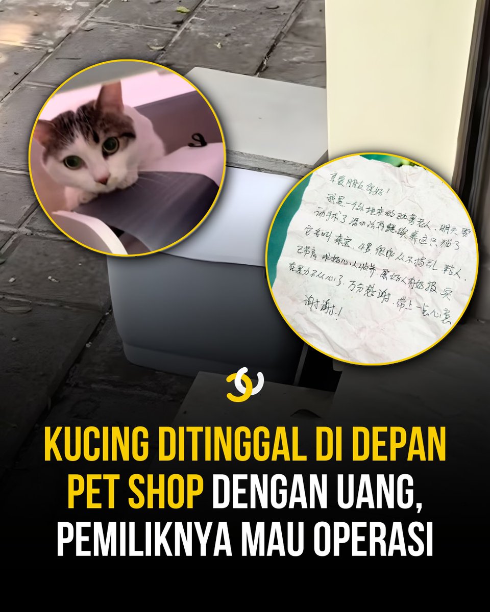 Like This tweet media