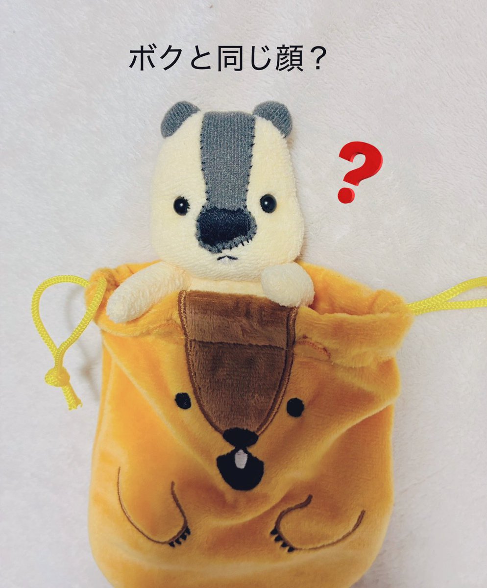 プライズのマーモット巾着ゲット✨
レーモのモデルはヒマラヤマーモット
なんだ♪
小部屋ファミリー用のバッグイン巾着に
しようかな❤️
#ハンドメイドぬいぐるみ
#マーモット
#小部屋ファミリー