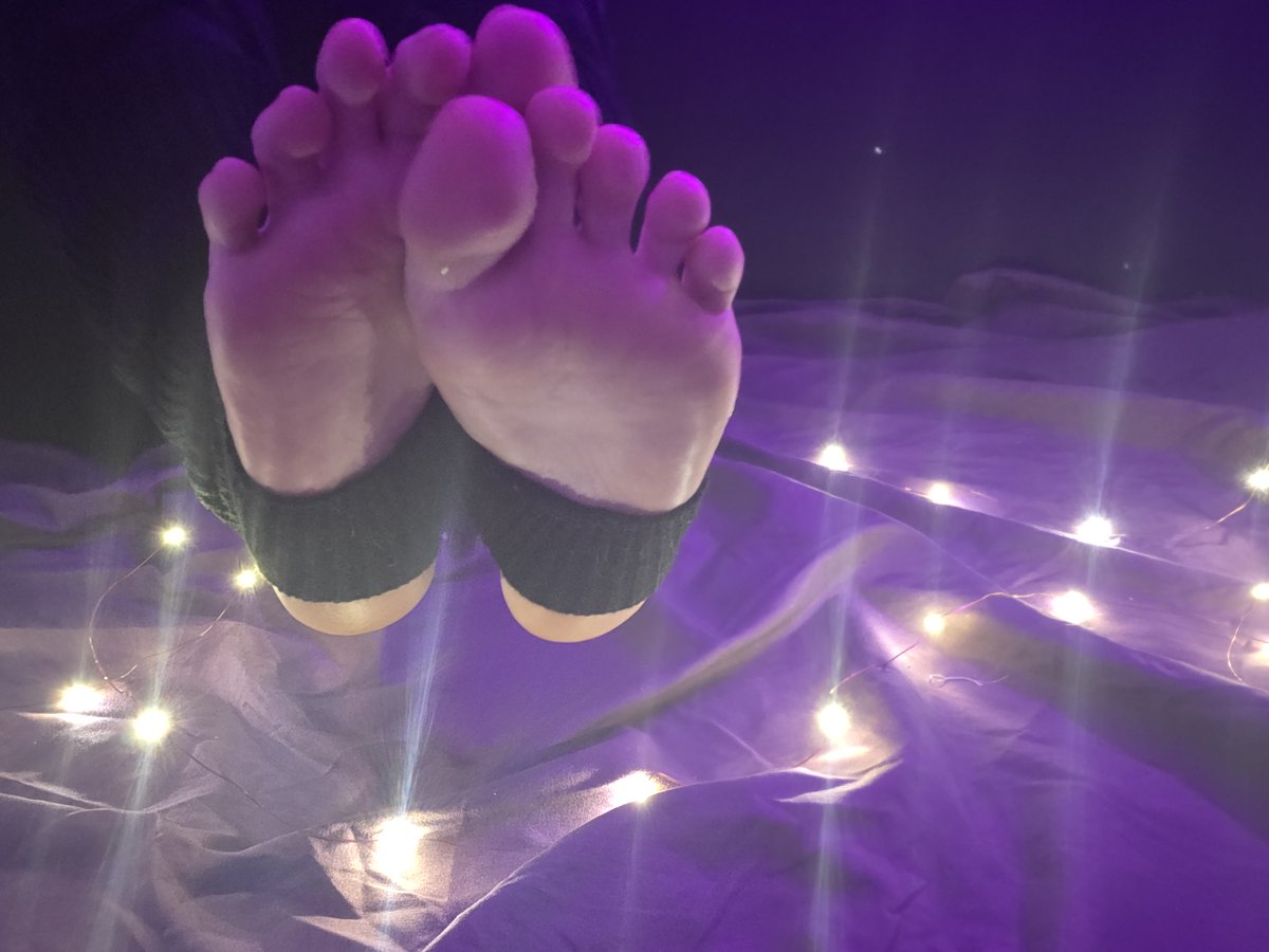 Kitsu - Pre-Debut Lewdtuber tweet media