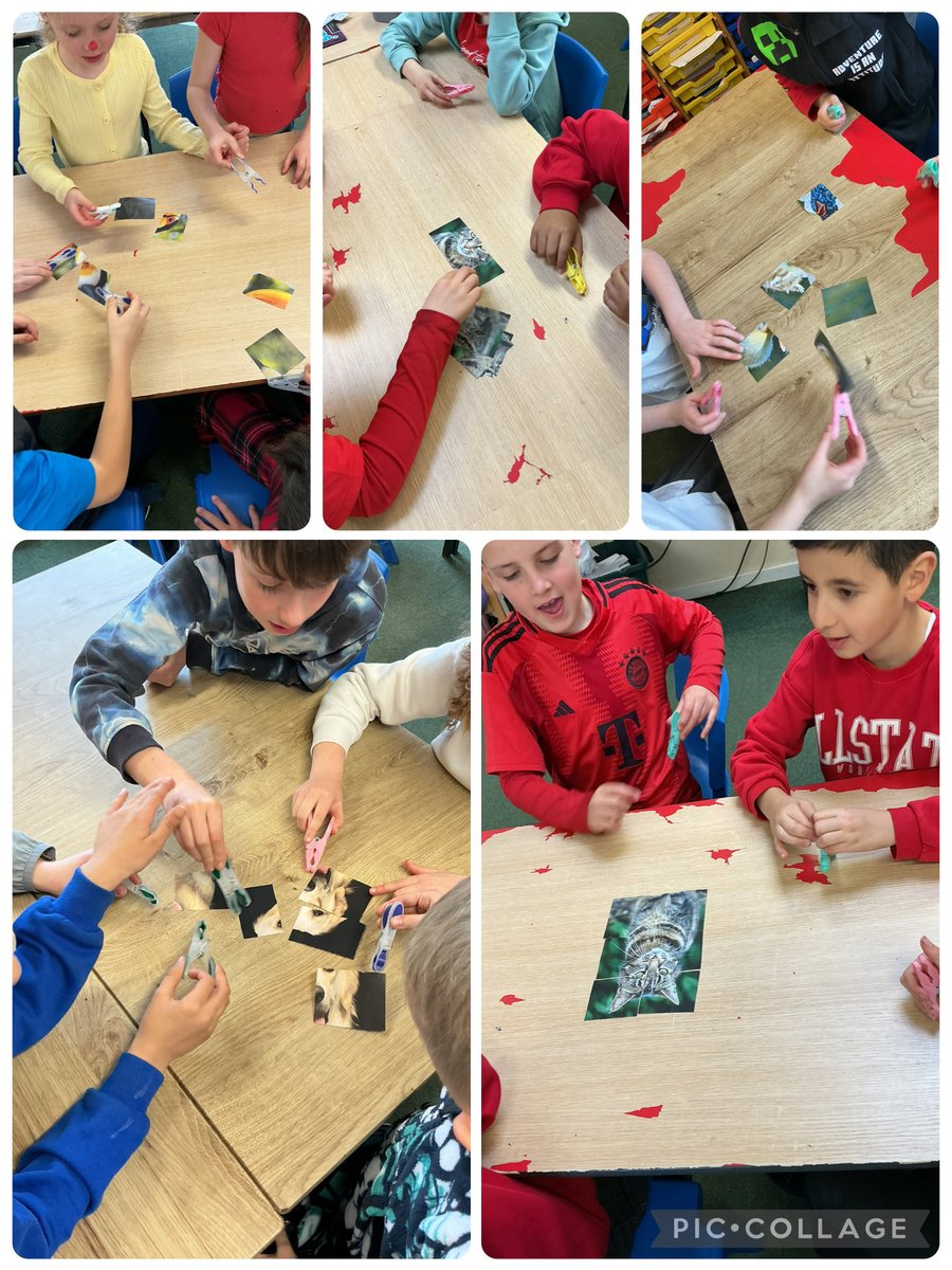 Y4Auckley's tweet image. For British Science Week, we’ve focused on curiosity and what great teamwork looks like.
Curiosity sparks questions, fresh thinking, and new ideas — and when we share that as a team, it leads to stronger collaboration and better outcomes. 🔬✨. #BritishScienceWeek