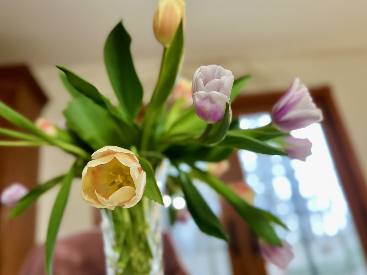 just jane tweet media