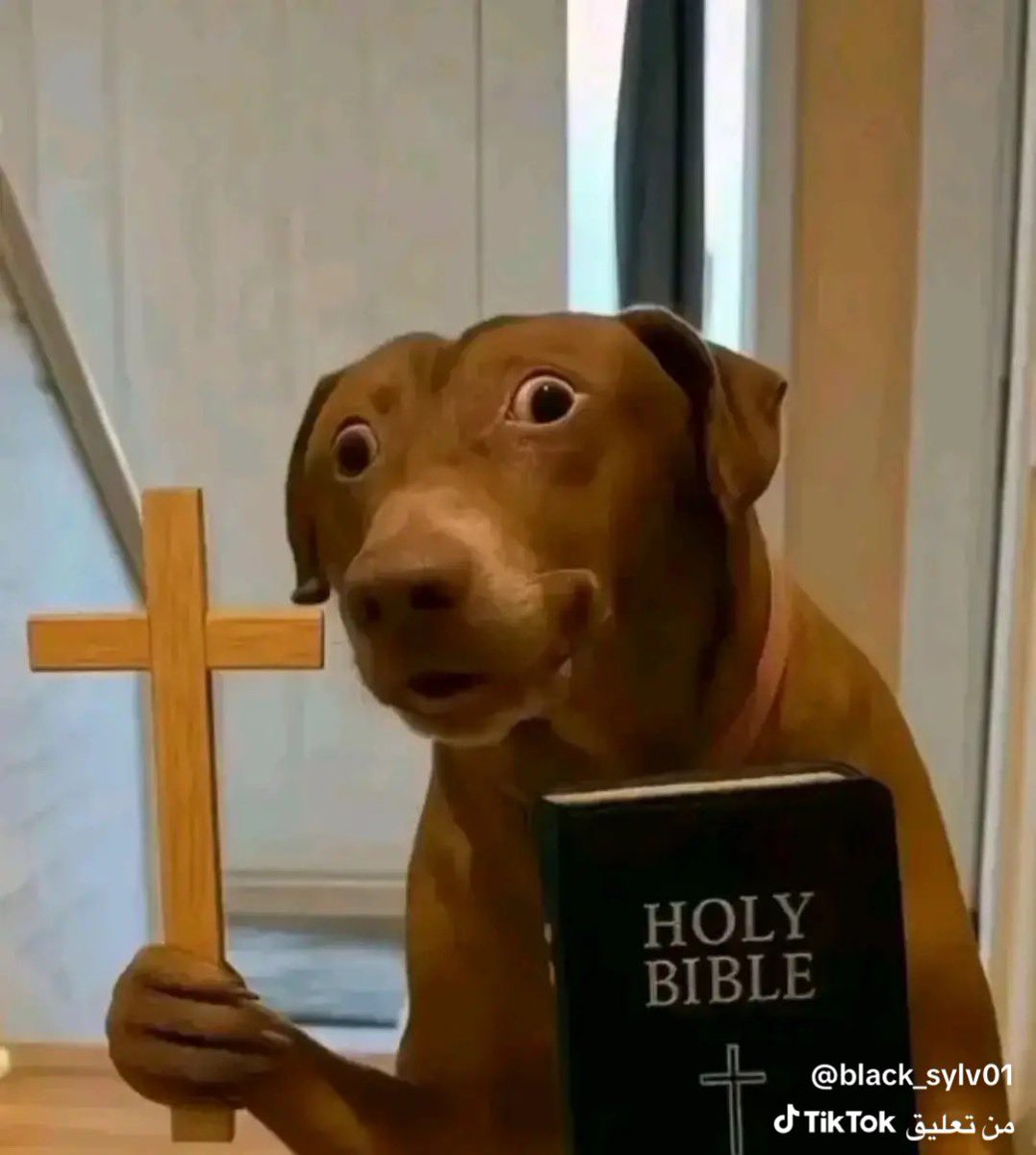 خالد ابو مشعل القحطاني tweet media