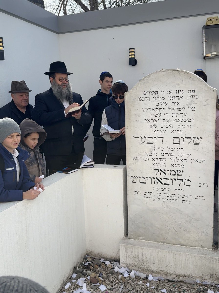 Chaim Danzinger | Rostov Rabbi tweet media