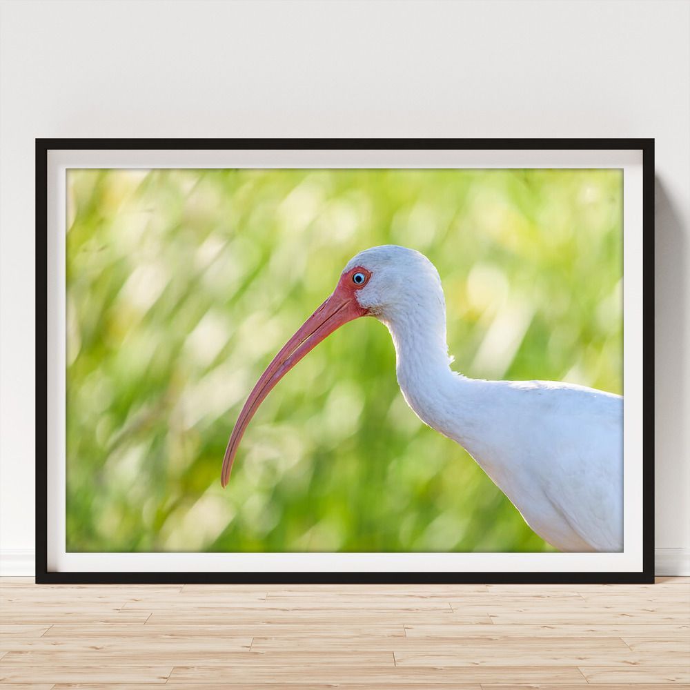 Debra Martz tweet media