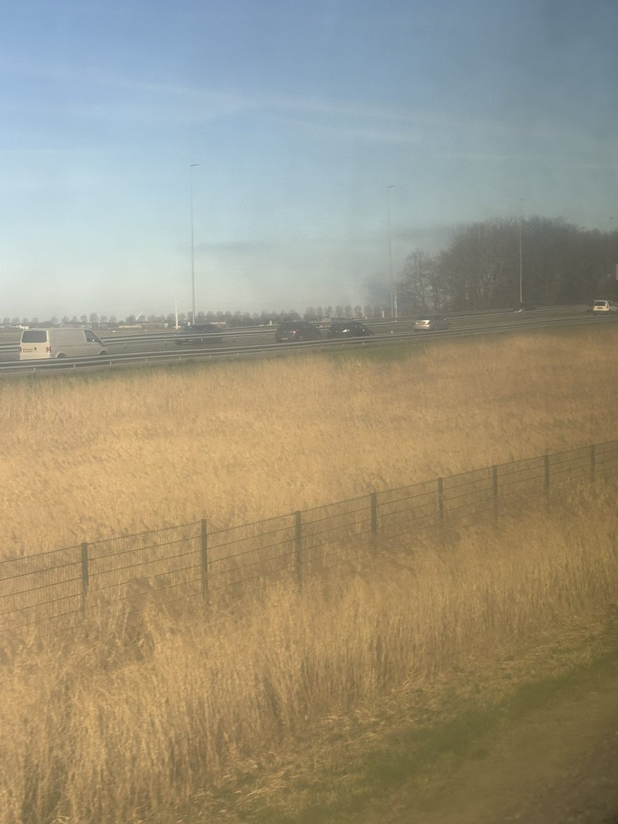 generalemiel tweet media