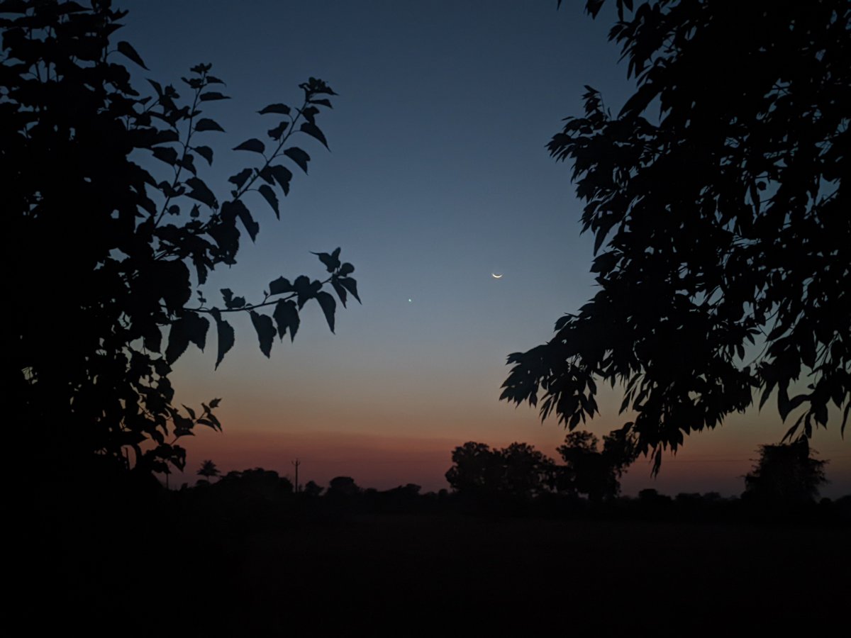 Jigar Punadiya tweet media