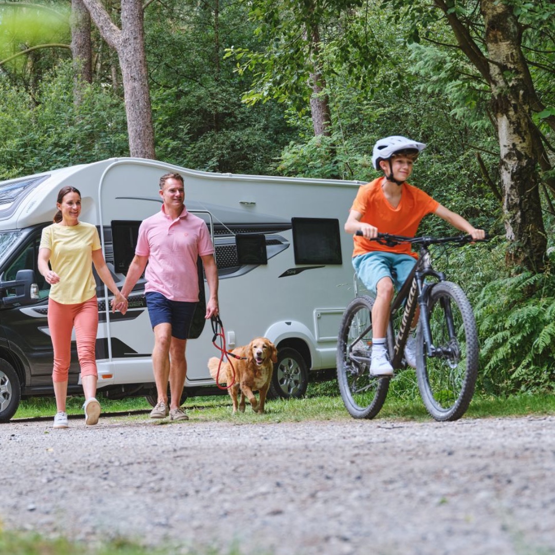 Swift Group tweet media