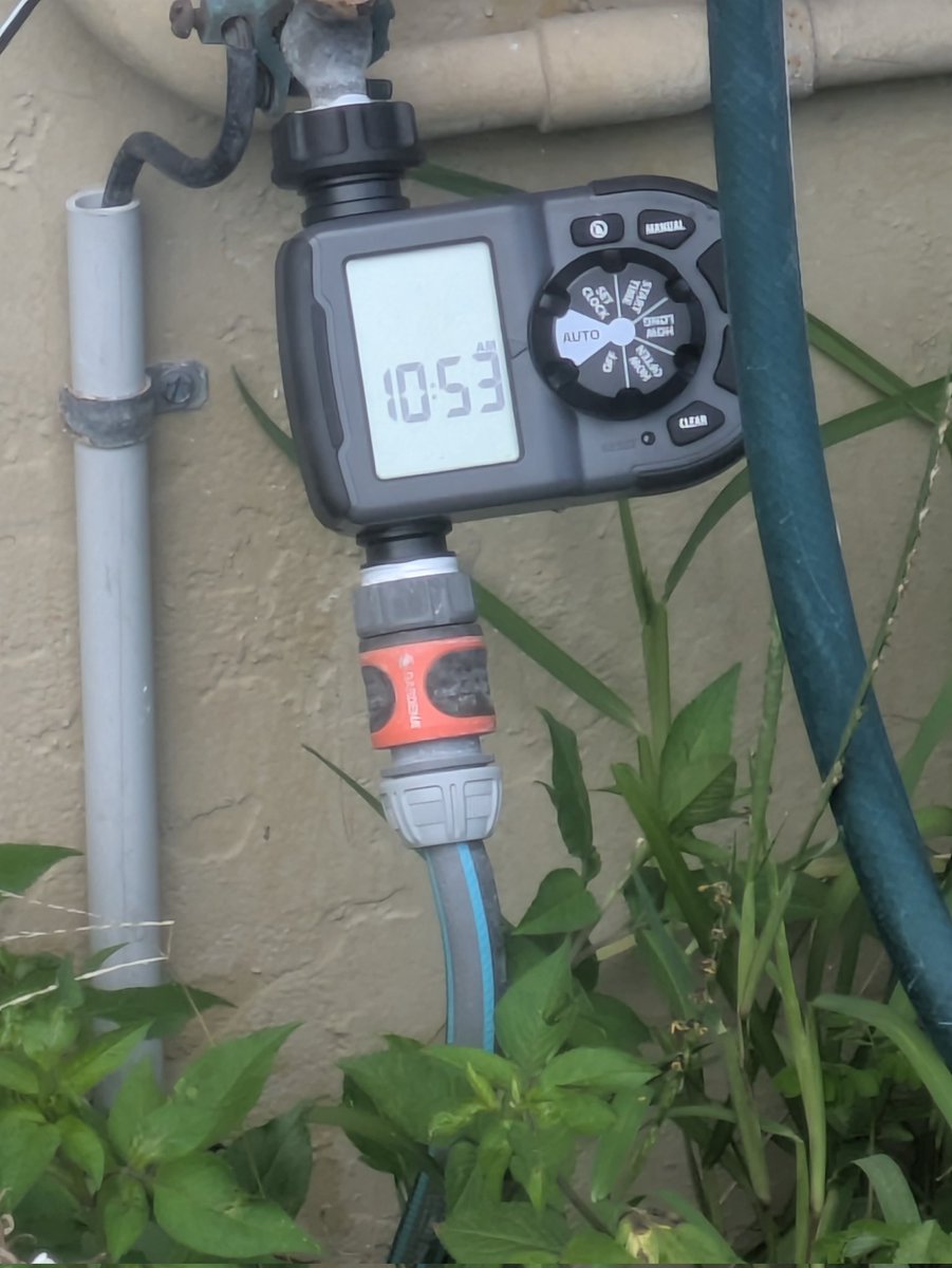 Butt Dickarson tweet media