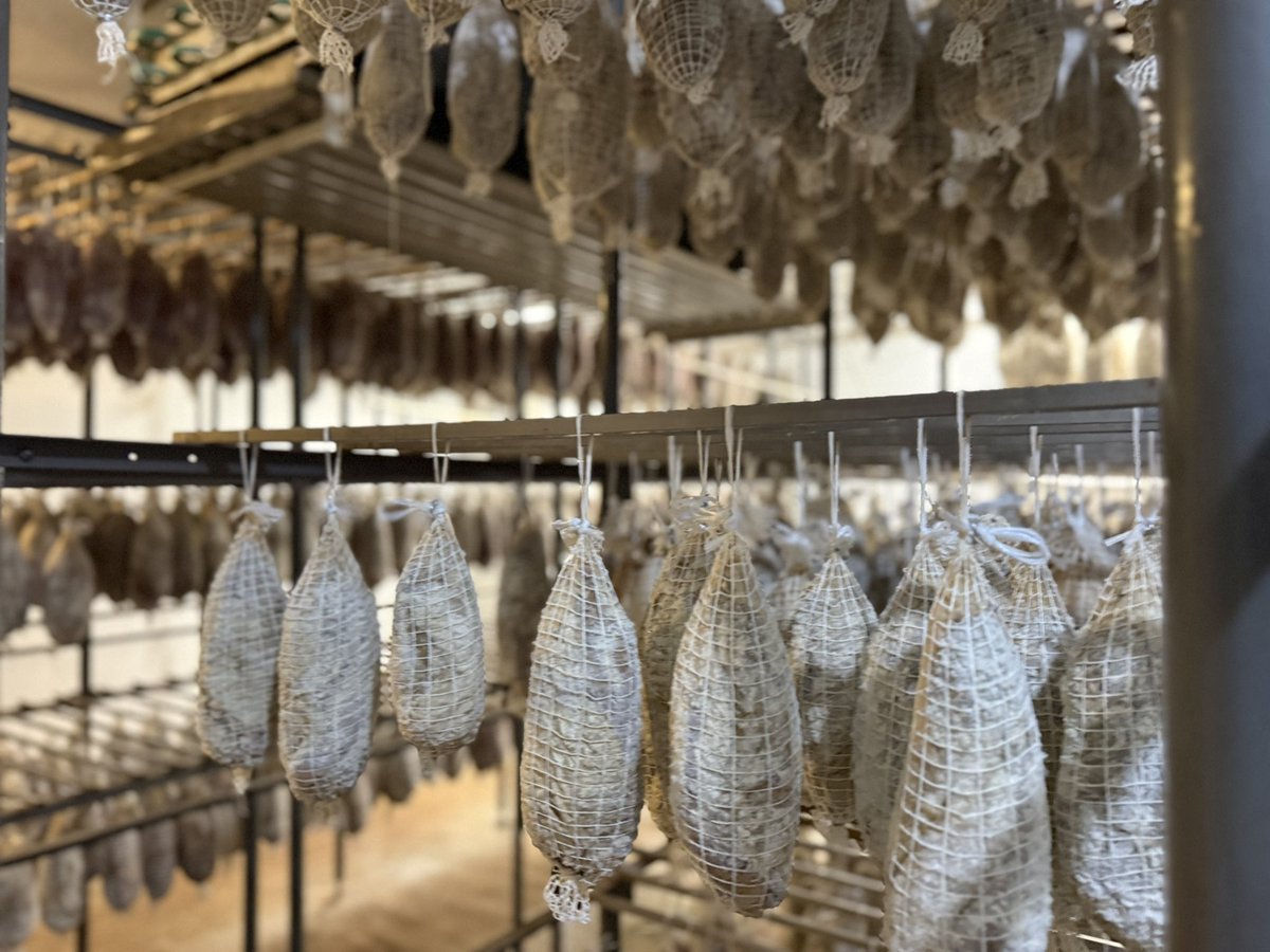 Carlos Daniel Camy tweet media