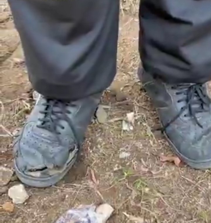 THE_FOREX_CRITIC tweet media