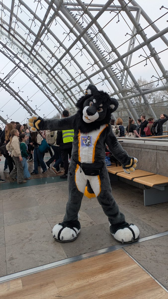 Mao @NFC2026 tweet media