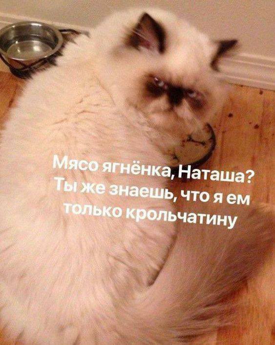 Barking News tweet media