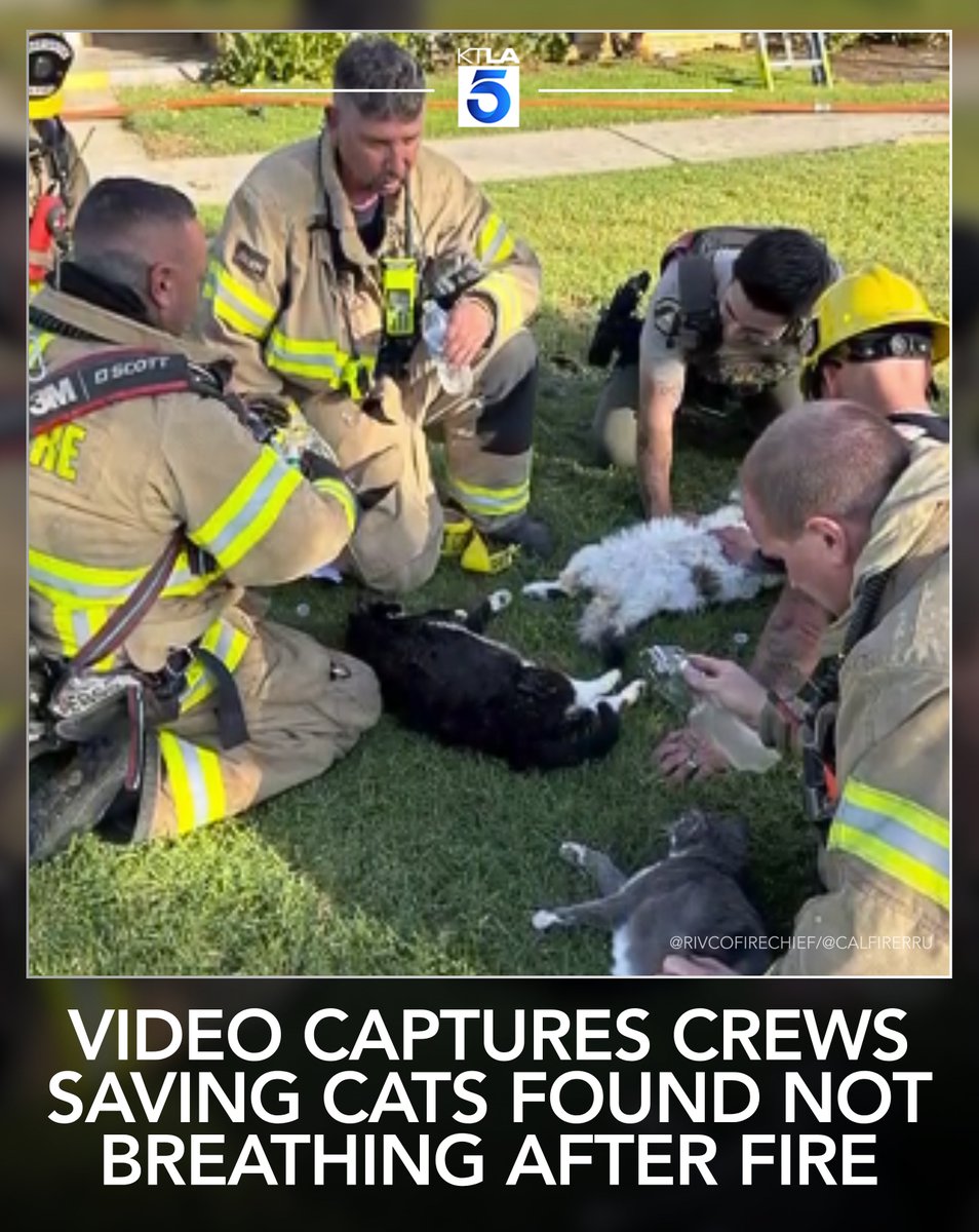 KTLA tweet media