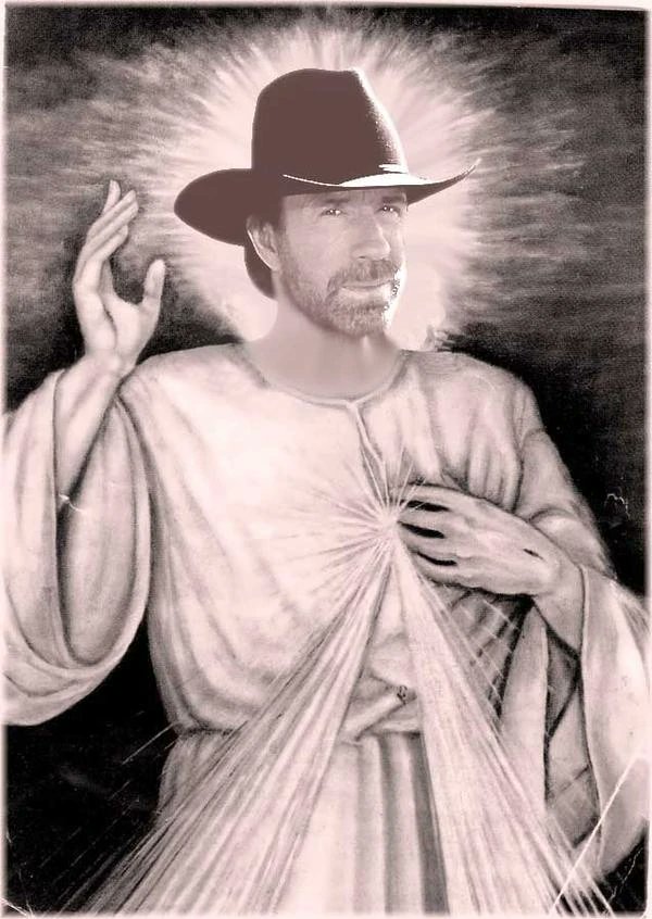 perro contento tweet media