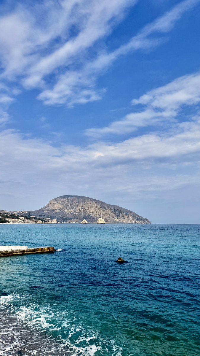 Irina Galushko tweet media