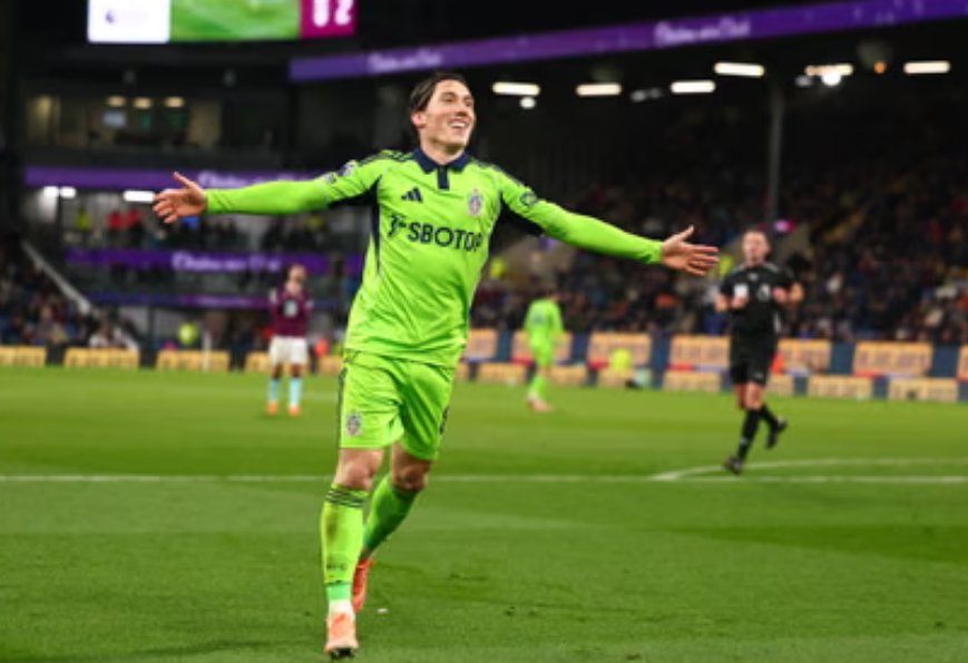 FulhamFanNews tweet media