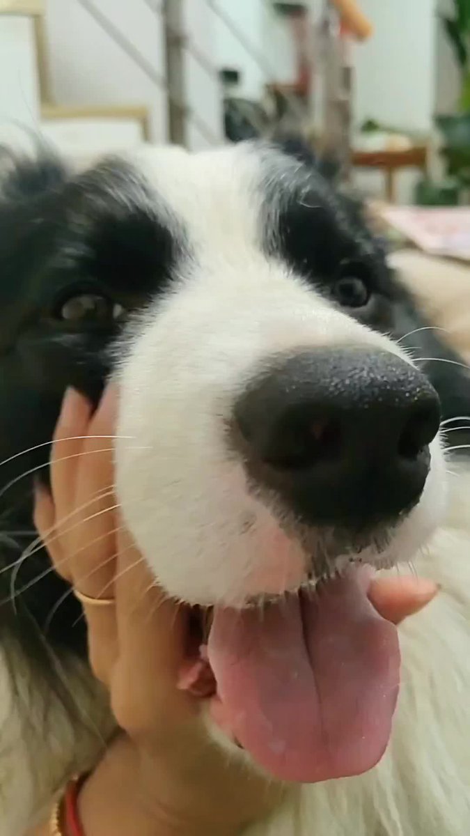 Electroboy tweet media