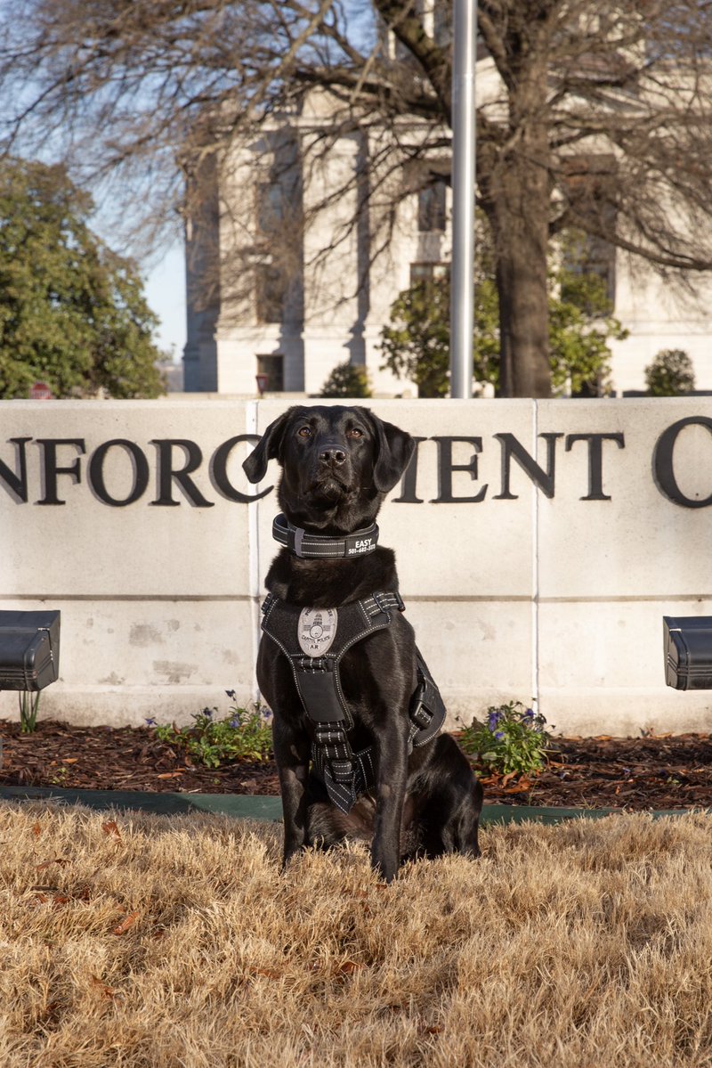 Cole Jester tweet media