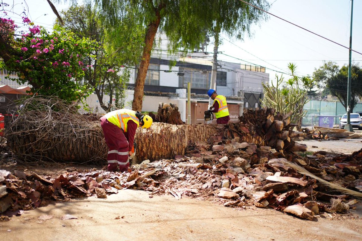 Secretaría del Medio Ambiente tweet media