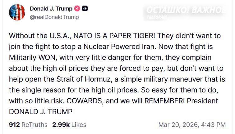 Camille Moscow 🇷🇺 🌿 ☦️ tweet media