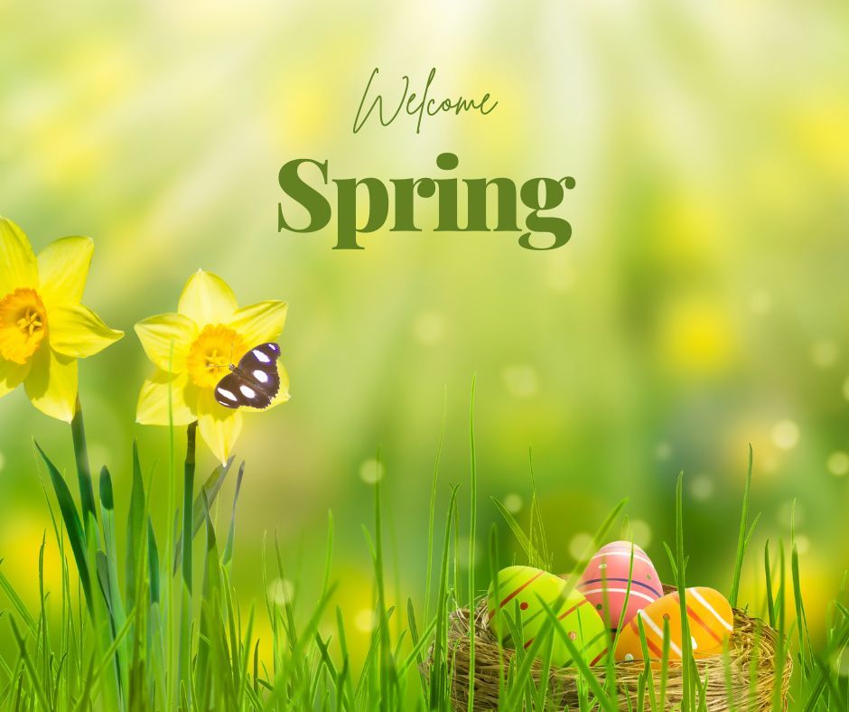 Happy First Day of Spring! LSContractorsLLC.com #spring #springtime #weather #renovation #remodel #construction #contractor #build #builder #building #tools #work #home #house #residential #commercial #nj #newjersey #jersey #monmouthcounty