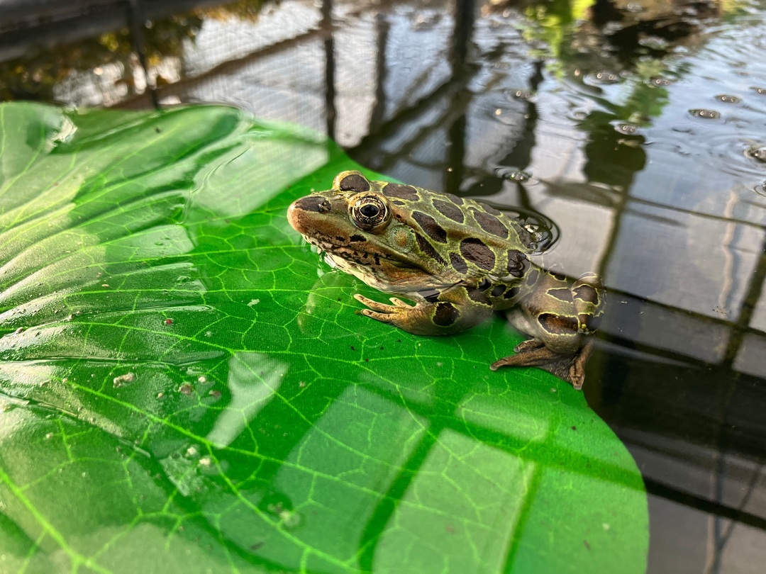 Calgary Zoo tweet media