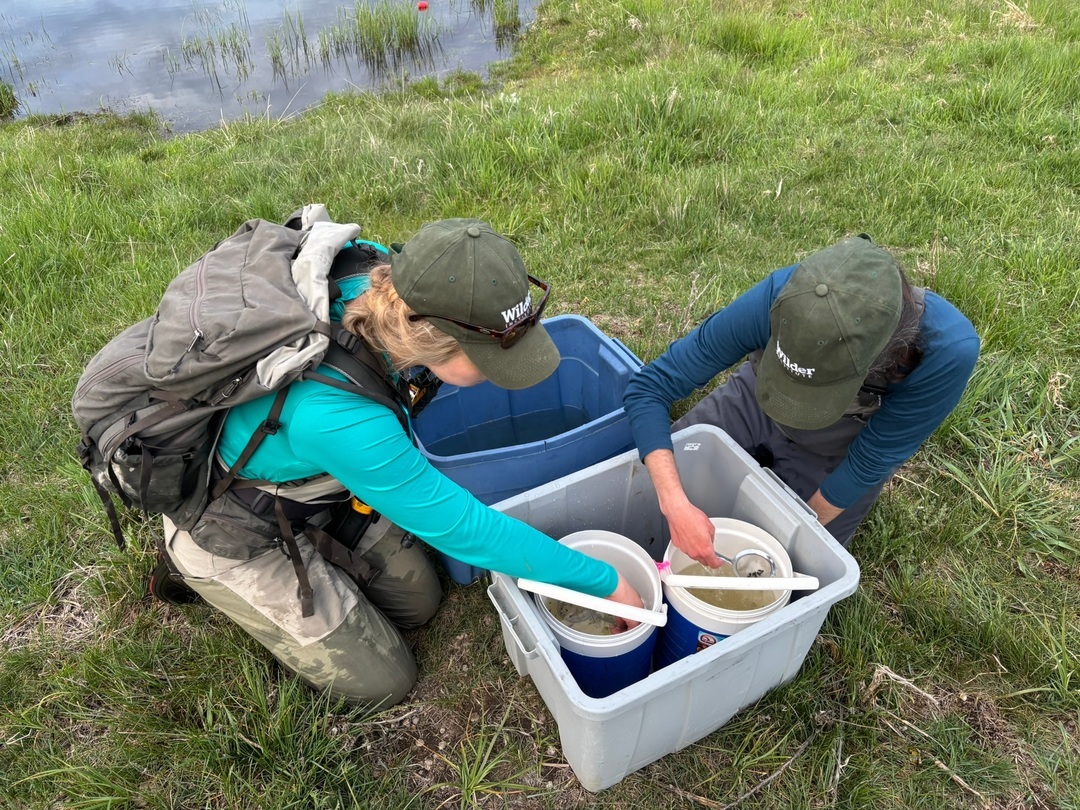 Calgary Zoo tweet media