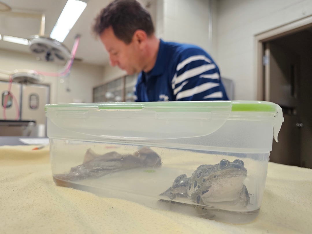 Calgary Zoo tweet media