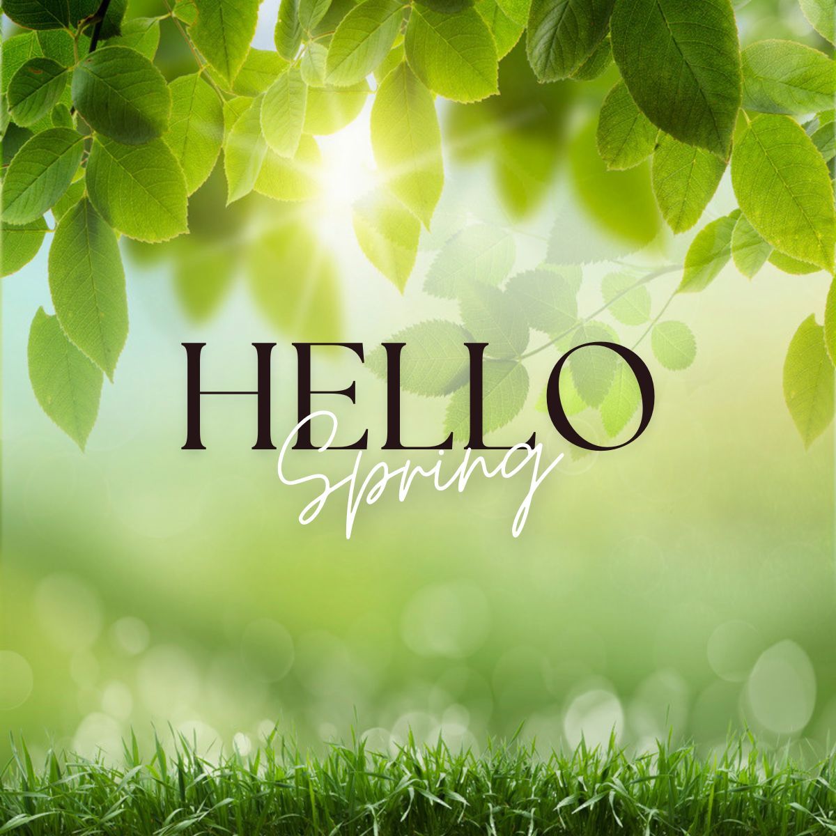 PrintGreenville's tweet photo. Happy Spring Equinox Day! 
Ever wondered what the spring equinox is? It's the moment when day and night are nearly equal in length, marking the first official day of spring. 🌷
It's the perfect time to step outside and enjoy the warmth spring brings! 
#SpringEquinox #HelloSpring https://t.co/vCPYXZLxpj