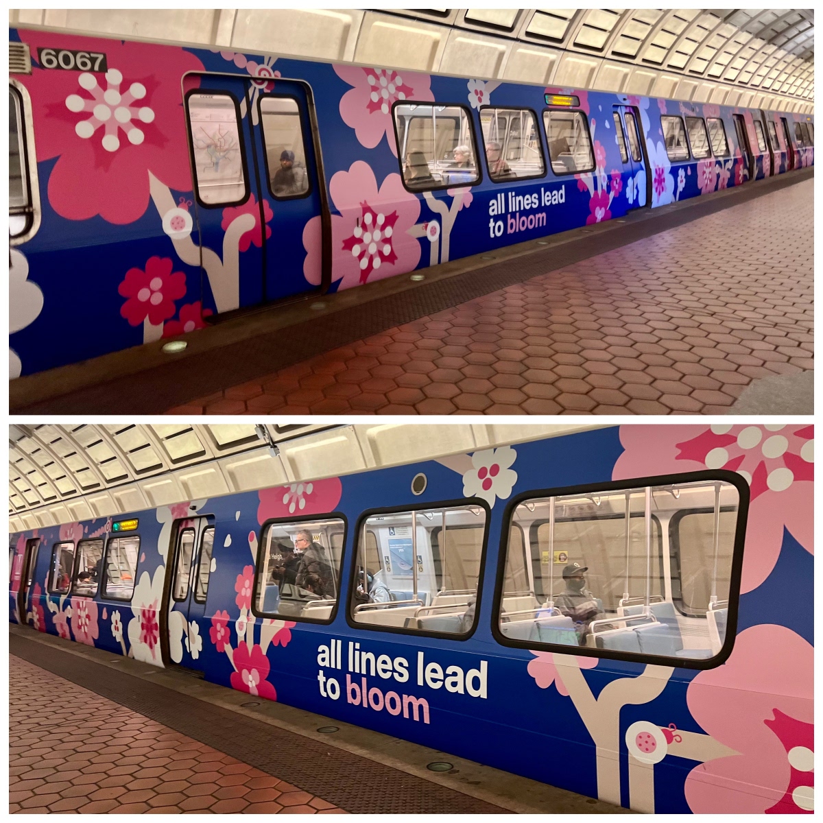 Metro Forward tweet media