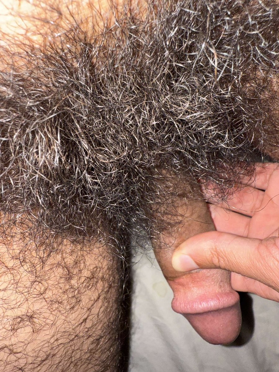 🇩🇿⏳ tweet media