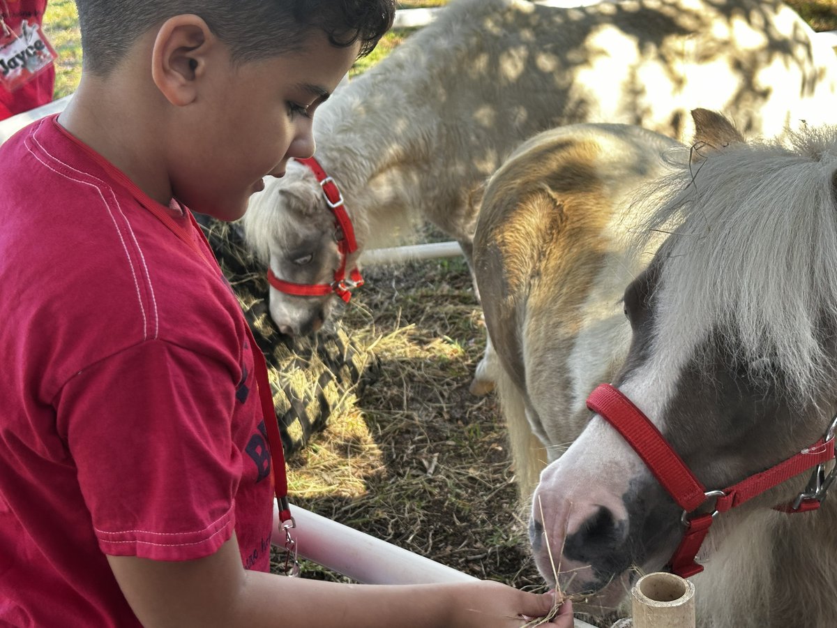 Health First tweet media