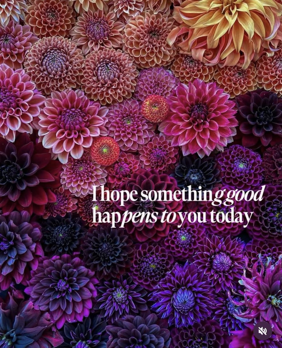 WolfumsTheGreat tweet media