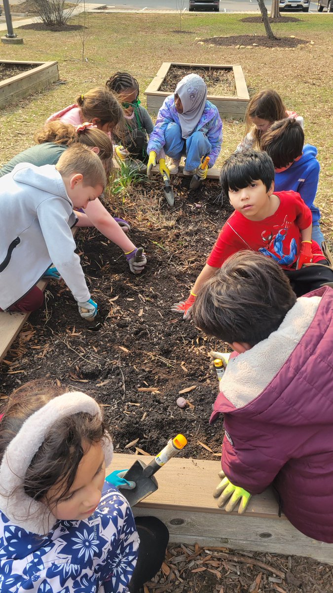 JAGardenHabitat's tweet photo. The weather hasn't decided if it is still winter or if spring is here...but we have! We've been digging in some cold dirt to pull weeds, turnover soil, and get early spring crops planted. We've already planted potatoes, radishes, and carrots. https://t.co/eetvf43zAR