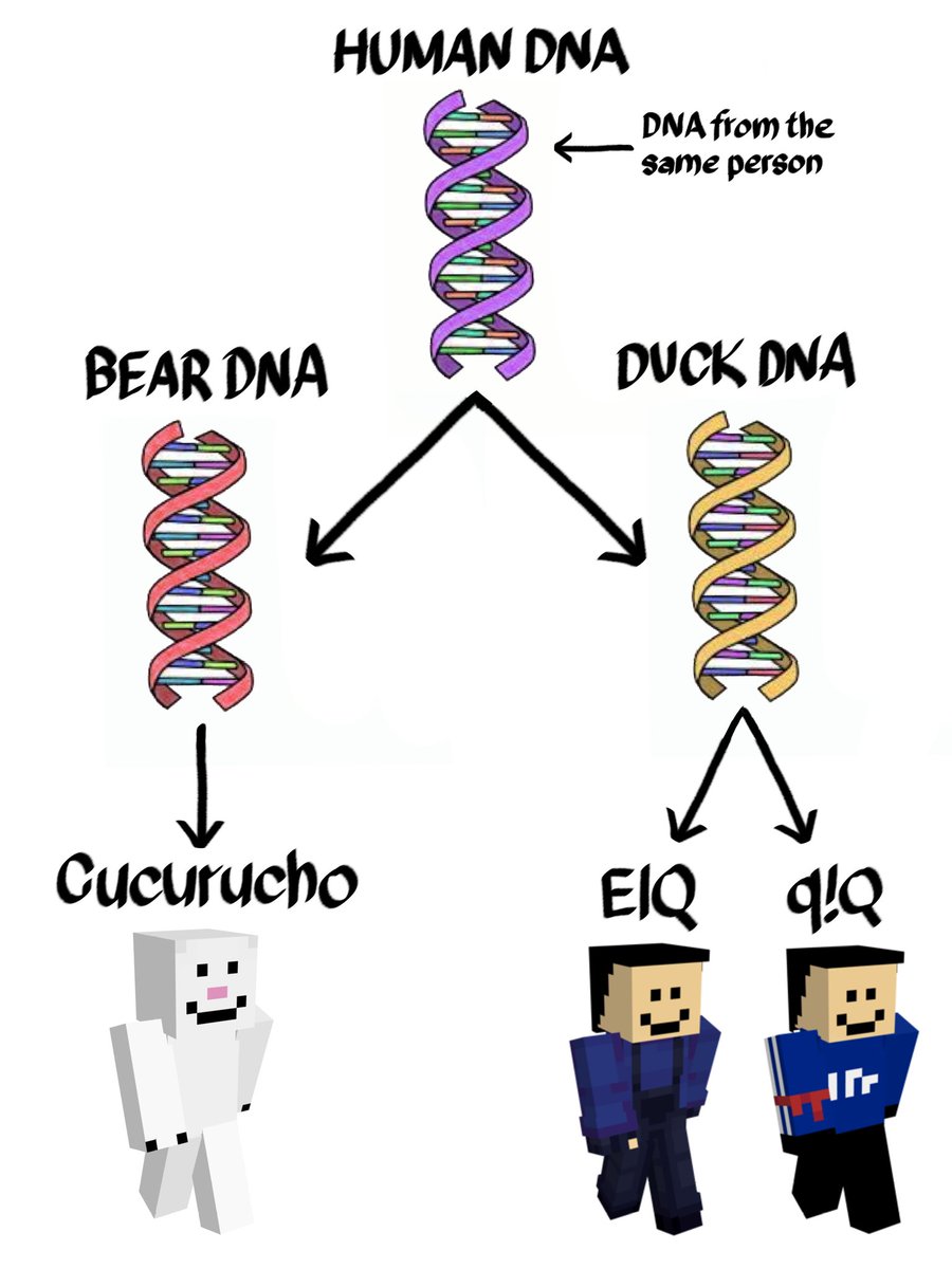 𝐃𝐞𝐜𝐮𝕽𝖊𝖇𝖊 tweet media