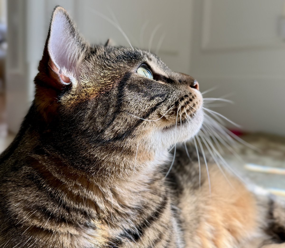 For the love of Missy. tweet media