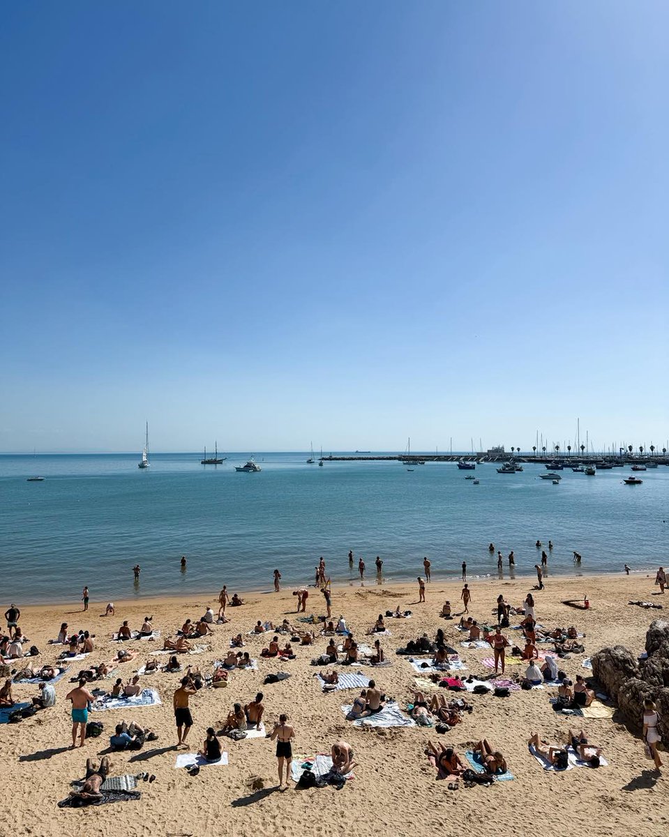 VisitLisboa tweet media