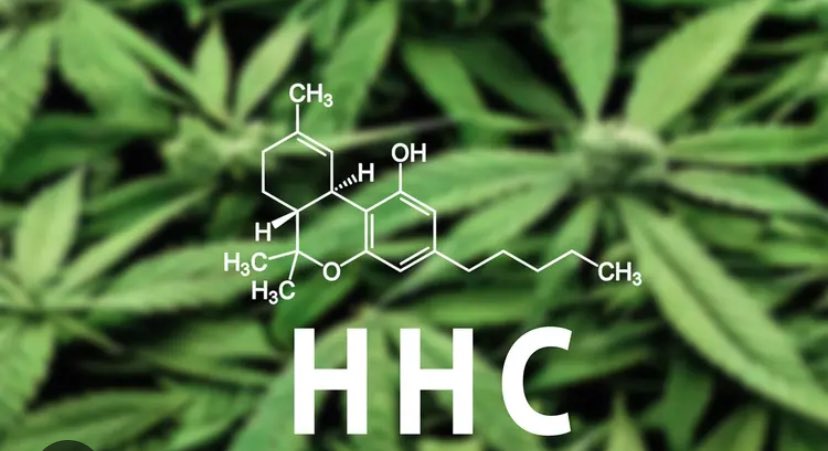 Truth Pixie tweet media