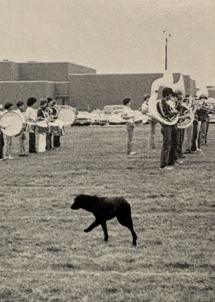 Dr. Ben Hartnell tweet media