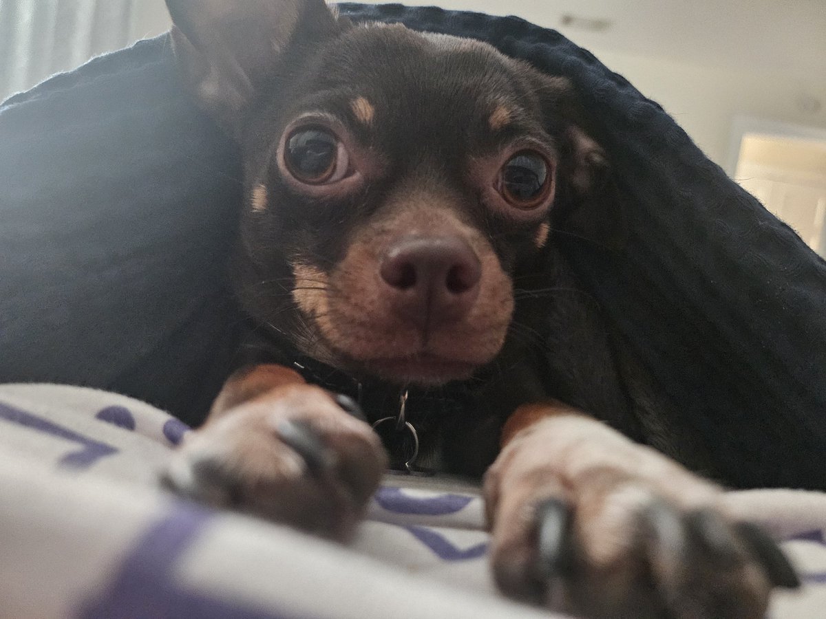 Junk 🌴 tweet media