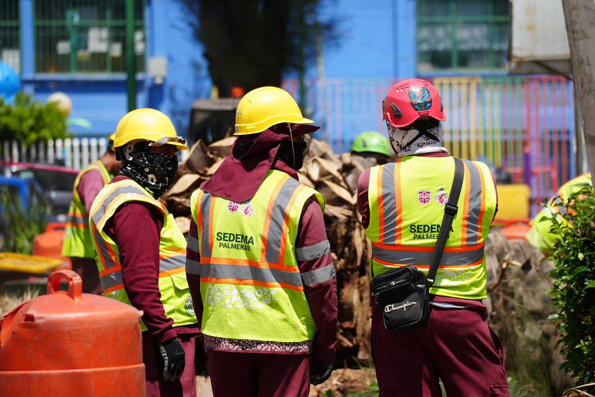 Secretaría del Medio Ambiente tweet media